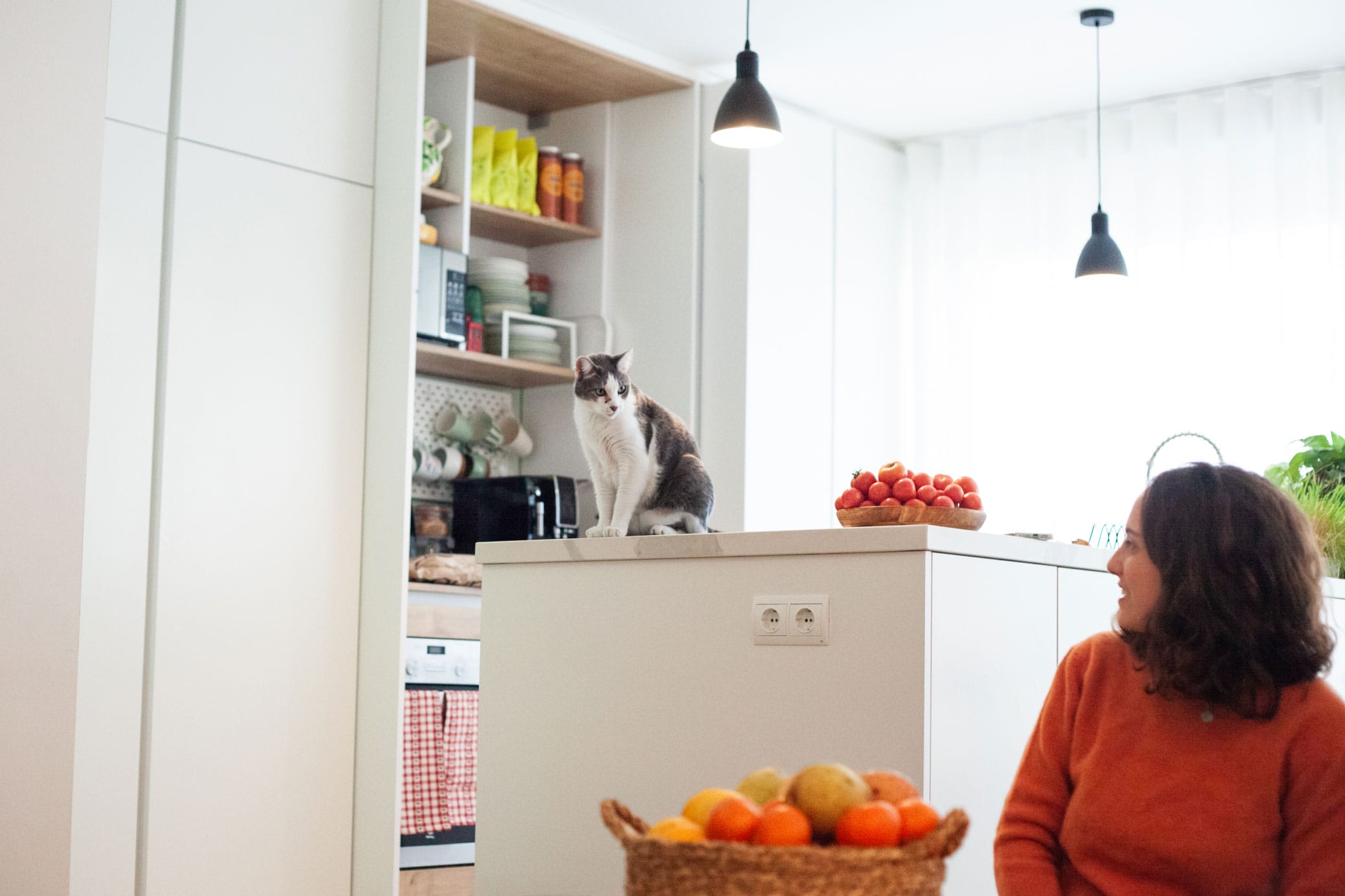 Un gat seu al taulell de la cuina, a prop de prestatges amb menjar. Una dona amb un jersei taronja seu a prop, mirant el gat. Tamb&eacute; hi ha una cistella de fruita i un bol de tom&agrave;quets al taulell. Cuina moderna i lluminosa.